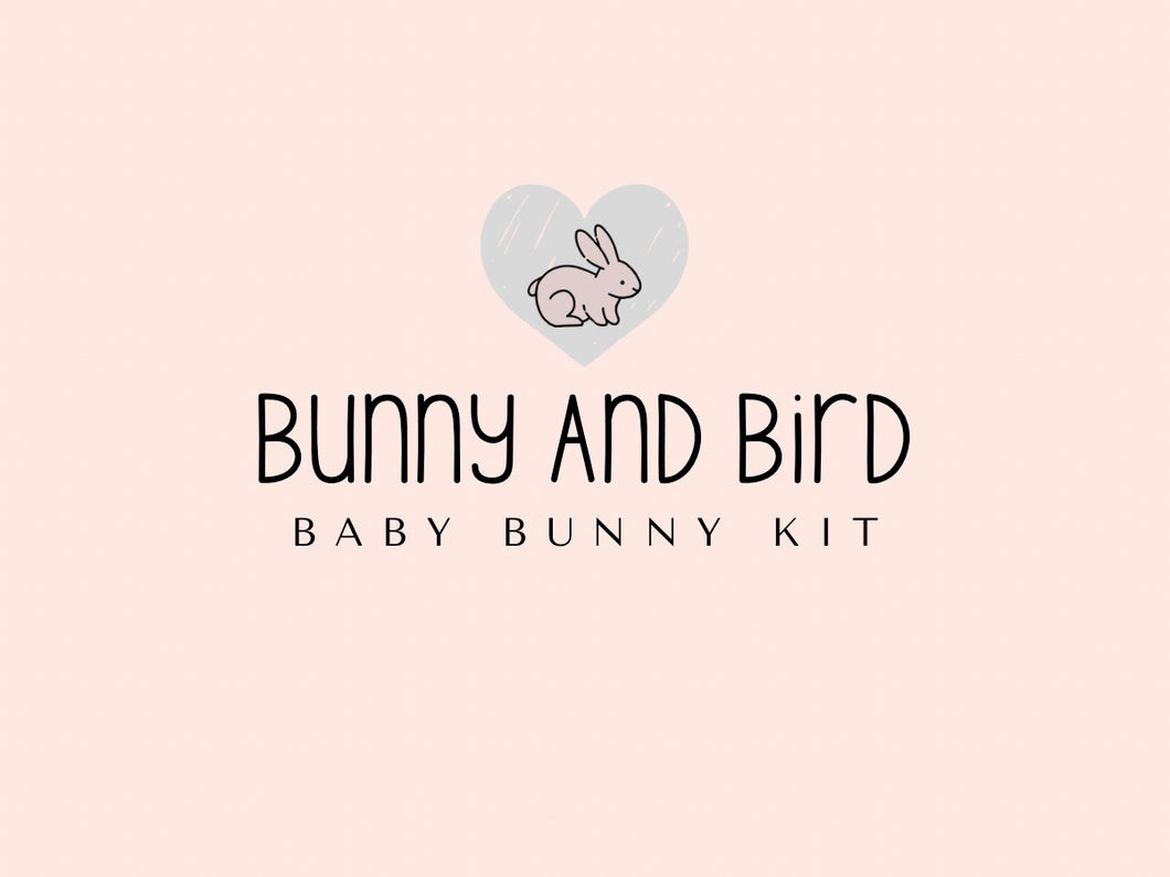 Bunny and Bird Baby Bunny Kit